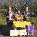 豆柴【神奈川県・男の子・2024年10月2日・黒】の写真7「お父さん→KCJチャンピオン犬」