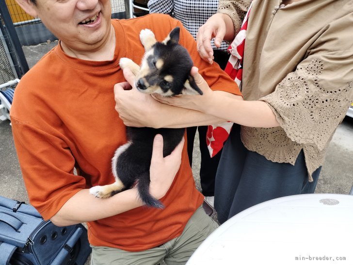 佐藤久之ブリーダーのブログ：子犬のお迎え