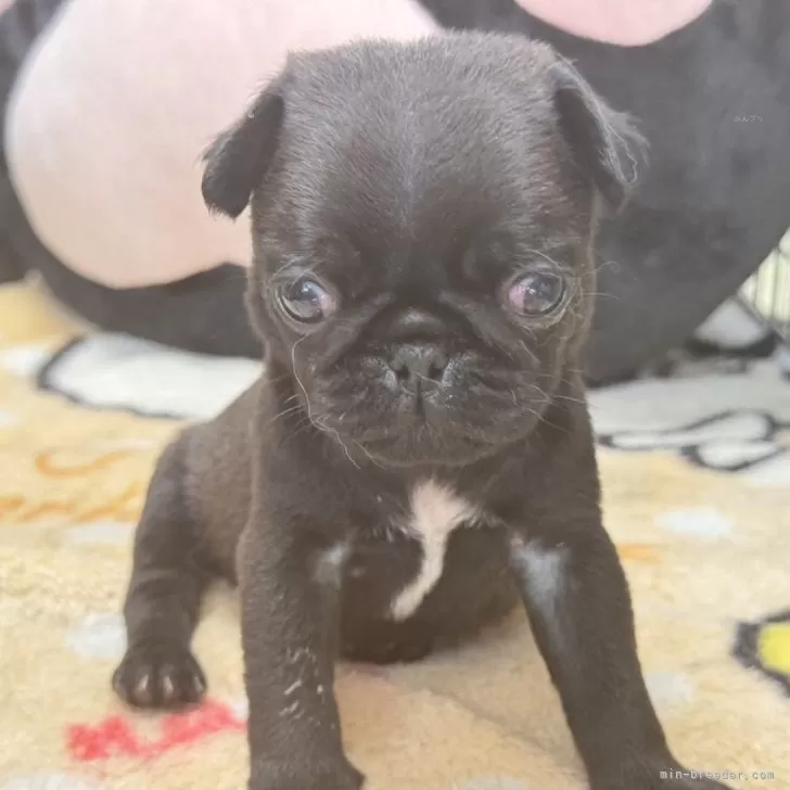 小林ファミリー 様のお迎えした子犬