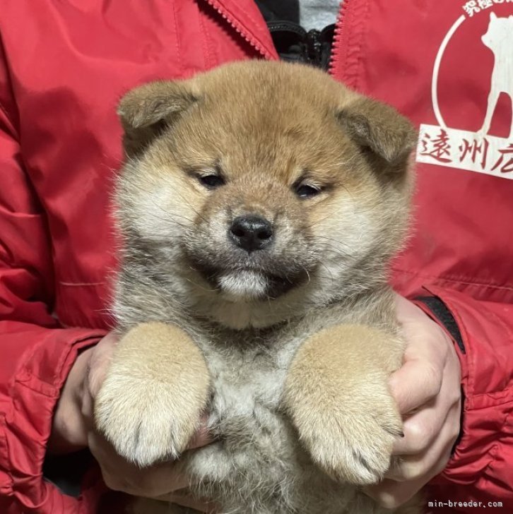 お値下げしました‼︎ 超激レア！ デザイナーサイン入り『ジャーマン