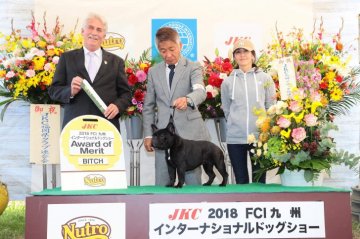 みんなの犬図鑑 大分県で評判の良い犬のブリーダー紹介