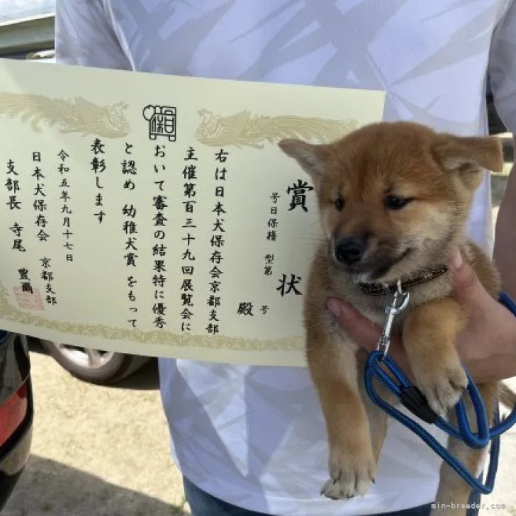 ちゃのぽん 様のお迎えした子犬