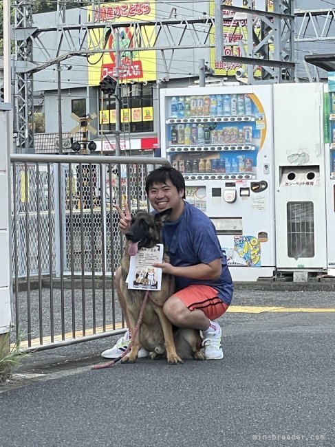 西川　玉梅(にしかわ　ぎゃくばい)ブリーダー(神奈川県・ポメラニアンなど・JKC登録)の紹介写真5