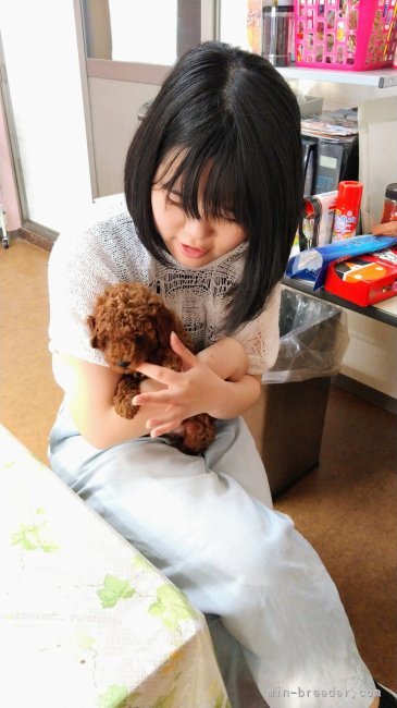 🌲伝える姿🐶感じ取りたい🐶🌲｜岡松　由香(おかまつ　ゆか)ブリーダー(徳島県・トイプードル・JKC登録)の紹介写真3