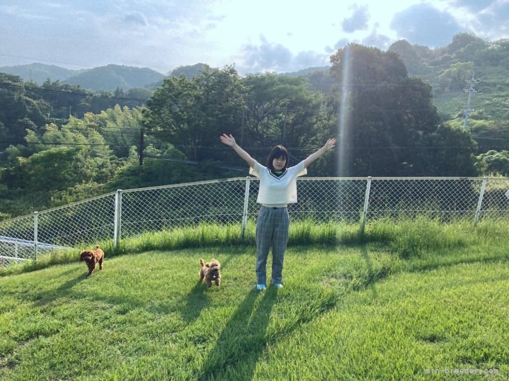 沢山の思い出を🌲お泊まり旅行も🐶一緒🌲｜岡松　由香(おかまつ　ゆか)ブリーダー(徳島県・トイプードル・JKC登録)の紹介写真6