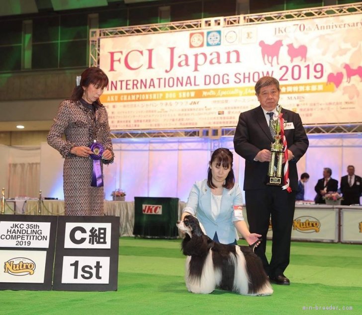 北海道 佐々木 千穂 ささき ちほ ブリーダー みんなのブリーダー