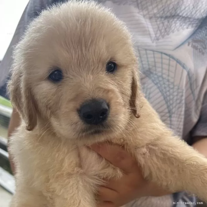 イン子 様のお迎えした子犬