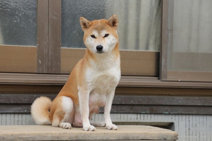 みんなのペットあたごさん