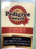 カニンヘンダックスフンド(スムース)【千葉県・男の子・2018年8月1日・レッド】の写真5