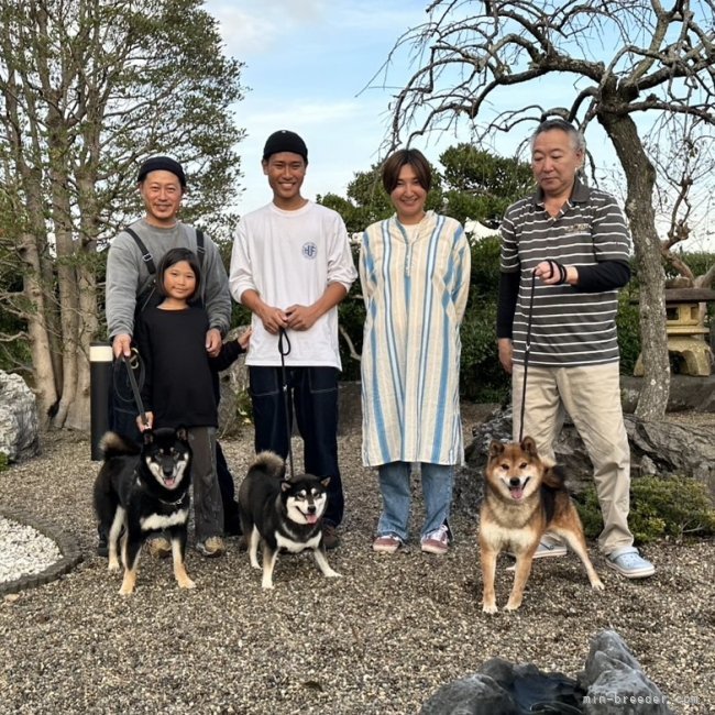 横田幸治ブリーダーのブログ：デンデちゃん💓