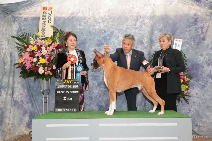 FCIチャンピオン｜権田　和則(ごんだ　かずのり)ブリーダー(島根県・柴犬など・JKC/日本犬保存会登録)の紹介写真3