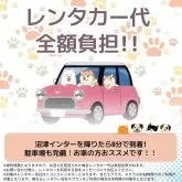 シーズー【静岡県・男の子・2024年11月4日・ホワイト&ブラウン】の写真12「🚗レンタカー代全額負担🚙観光がてらにぜひ、会いに来てください💕」