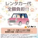 マルプー(マルチーズ×トイプードル)【静岡県・男の子・2025年1月21日・クリーム】の写真12「🚗レンタカー代全額負担🚙観光がてらにぜひ、会いに来てください💕」