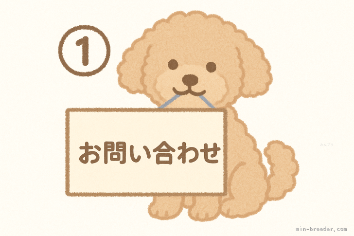 佐藤大斗ブリーダーのブログ：🐶ご見学～お迎えまで🏠