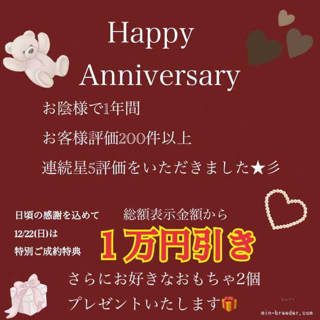 お問い合わせお早めに☺️｜生田　碧(いくた　みどり)ブリーダー(栃木県・トイプードルなど・JKC登録)の紹介写真2