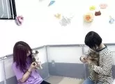 トイプードル(トイ)【栃木県・女の子・2025年3月9日・レッド】の写真9「🐶パピートレーニング中🐶お迎え後も安心いただけるよう日々特訓しております🎶」