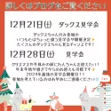 トイプードル(トイ)【茨城県・男の子・2024年8月16日・クリーム】の写真8「🐾🐕🐾🐕【12月イベントスケジュール】🐾🐕🐾🐕12月7日(土)愛犬同伴見学day　」