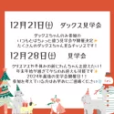 トイプードル(トイ)【茨城県・女の子・2024年10月6日・レッド】の写真8「12月21日:ダックスちゃんのみの見学会🐶12月28日:2024年最後の見学会✨」