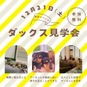 ミニチュアダックスフンド(ロング)【茨城県・男の子・2024年9月29日・ブラック&タン】の写真2「12/21(土)ダックス見学会開催🎉この日にしか見れないダックスちゃんも参加します👀」