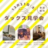 ミニチュアダックスフンド(ロング)【茨城県・男の子・2024年9月22日・ブラックタン】の写真2「12/21(土)ダックス見学会開催🎉この日にしか見れないダックスちゃんも参加します👀」