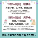 チワワ(ロング)【茨城県・女の子・2024年8月26日・ブラックタン&ホワイト】の写真6「=11月のイベント情報=🌟24日は個別相談会🌟30日は子犬が大集合！見学会🐶」