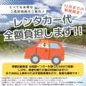 トイプードル(トイ)【茨城県・男の子・2024年8月16日・クリーム】の写真9「【期間限定】レンタカー代全額負担します！レンタカー会社やプランに条件有。詳しくはお問い合わせ下さい！」