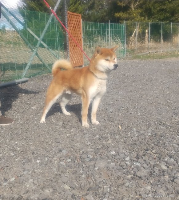 立ち込む姿が凛々しいイケメンくんです！