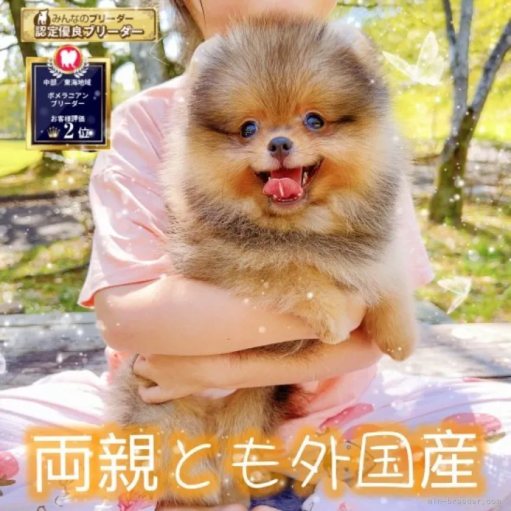 Dai 様のお迎えした子犬