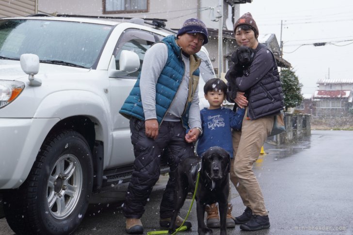 福井栄治ブリーダーのブログ：新しい家族との出逢い、ラブラドール、2024.10月10日産まれ編③