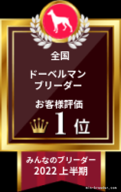 多くのお客様に支持を頂き　全国１位頂きました。｜玉置　隆徳(たまき　たかのり)ブリーダー(静岡県・ドーベルマンなど・JKC/日本警察犬協会登録)の紹介写真6