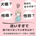 マルプー(マルチーズ×トイプードル)【千葉県・女の子・2025年3月3日・アプリコット】の写真2「私たちが、あなたのライフスタイルやご希望をお伺いし性格や特徴に合ったワンちゃん一緒にさがしませんか？」