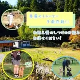 トイプードル(トイ)【千葉県・男の子・2024年10月2日・ブラック】の写真7「トレーナーとのお電話相談もお気軽にご相談ください！」