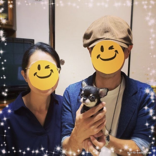 お迎えでした 田中美枝子ブリーダー みんなのブリーダー