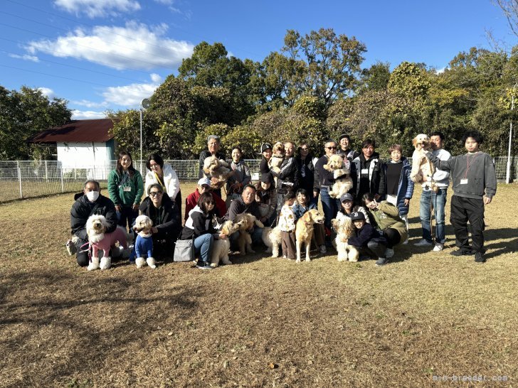 小峯恵美ブリーダーのブログ：ドゥードル里帰り会、開催しました🎵