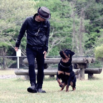 みんなの犬図鑑 宮城県で評判の良いロットワイラーのブリーダー紹介