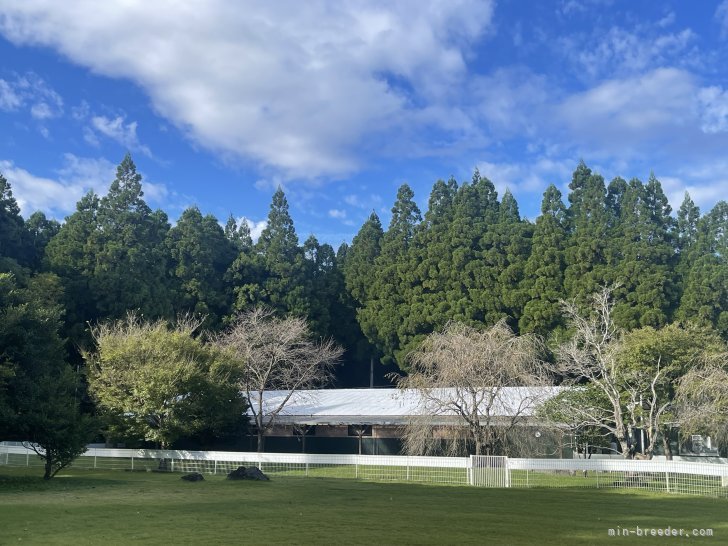 敷地１万坪の自然の中で太陽や土　植物に沢山触れて生活することによって自己免疫や自然治癒力が付きます。｜坂本　真弓(さかもと　まゆみ)ブリーダー(熊本県・柴犬など・KC登録)の紹介写真1