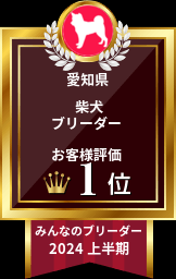 村上義博ブリーダーのブログ：愛知県　柴犬　お客様評価 第１位です！