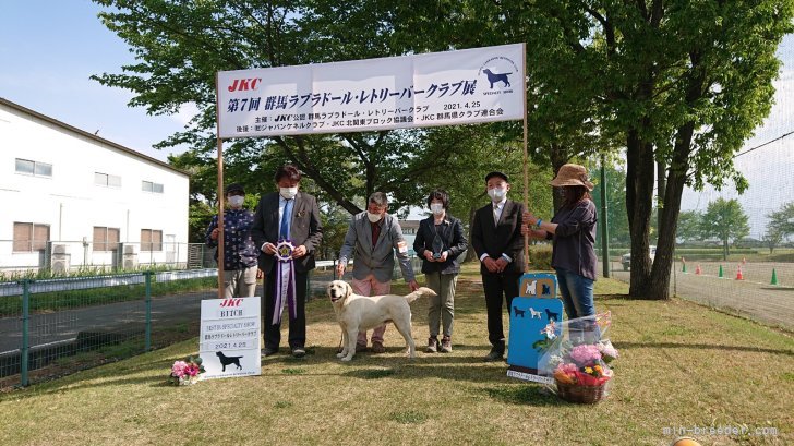 蛭間　静枝(ひるま　しずえ)ブリーダー(群馬県・ラブラドールレトリバー・JKC登録)の紹介写真5