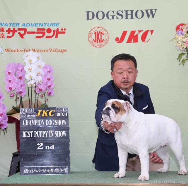 田家　淳(たや　じゅん)ブリーダー(東京都・フレンチブルドッグなど・JKC登録)の紹介写真5