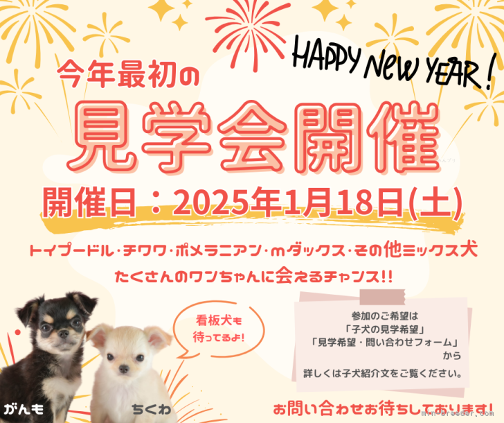 鈴木理菜ブリーダーのブログ：【特別イベント開催】2025年最初の見学会のお知らせ🔔