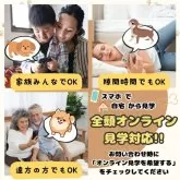 ミニチュアダックスフンド(ロング)【埼玉県・男の子・2025年1月8日・イエロー】の写真9「「自宅からわんちゃんを見学🏠」来店が難しい方もオンライン見学をお気軽にご利用ください！」