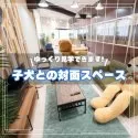 ポメラニアン【埼玉県・女の子・2024年12月9日・ウルフセーブル】の写真11「子犬と遊びながら対面できる、広々としたスペースでご案内します。隣にはお母さんたちのドッグランも🐶」