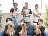 トイプードル(トイ)【埼玉県・男の子・2025年1月31日・レッド】の写真15「みんなわんちゃんが大好き💕大切にお世話している自慢の子たちを是非見に来てください☺」