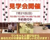 トイプードル(トイ)【埼玉県・男の子・2024年3月9日・レッド】の写真5「7月21日(日)見学会開催🐶」