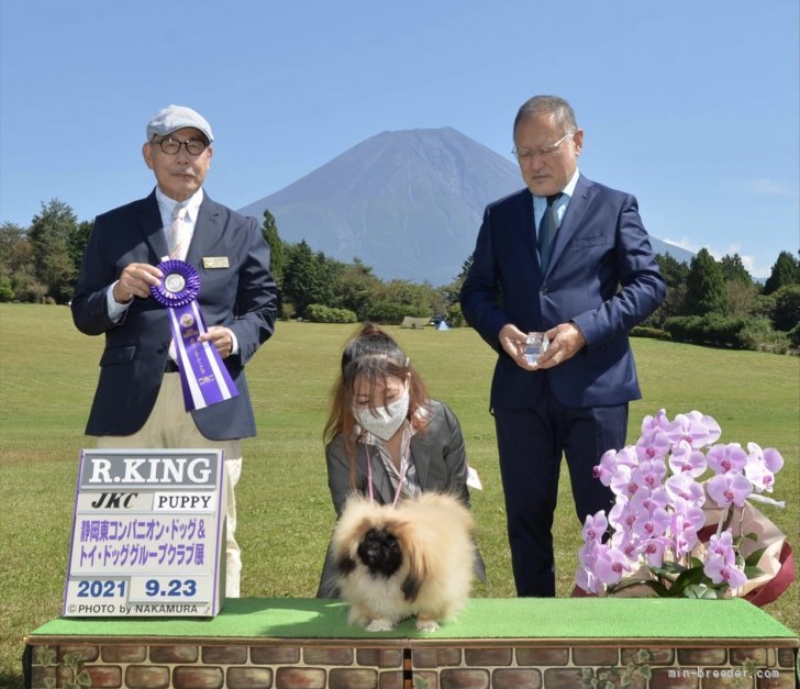 受賞犬紹介 みんなのブリーダー