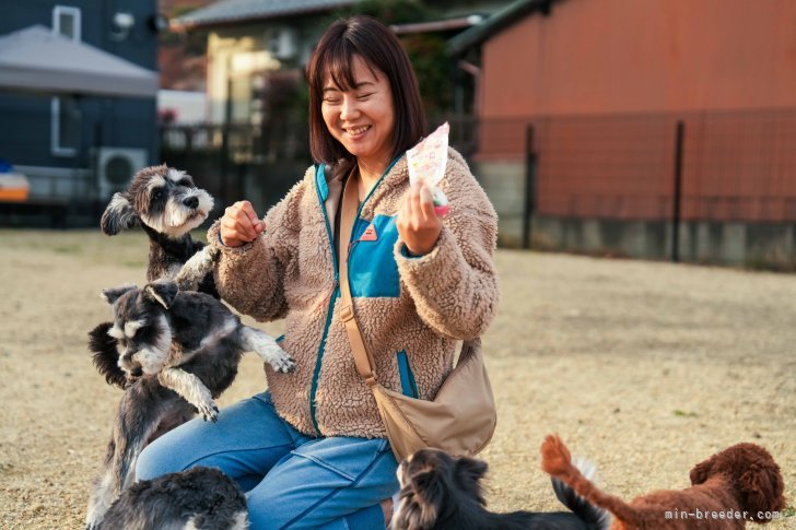 長縄　裕美(ながなわ　ひろみ)ブリーダー(岐阜県・トイプードルなど・JKC登録)の紹介写真6