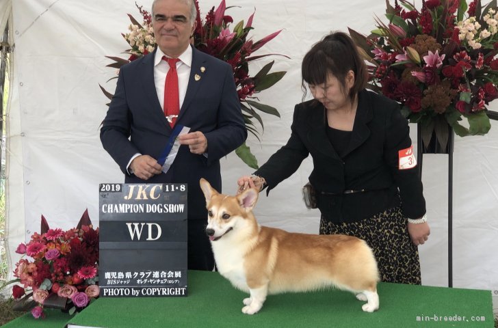 バランスの良い体質の硬いアトムです。