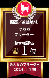 吉田美幸ブリーダーのブログ：ブリーダーアワード受賞𓂃𓈒𓏸︎︎︎︎👑