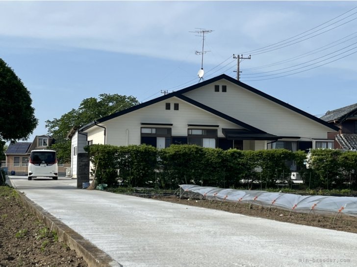 ご見学の際には目印となります。｜山西　高雄(やまにし　たかお)ブリーダー(埼玉県・トイプードルなど・JKC登録)の紹介写真6