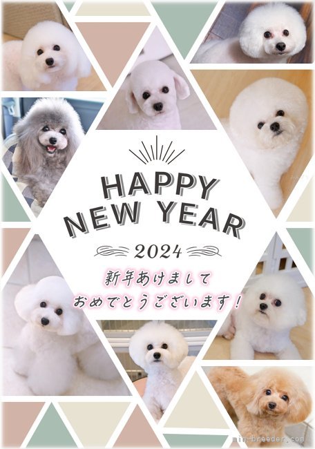 明楽拓真ブリーダーのブログ：Happy💓New✨Year🎍2024❣️